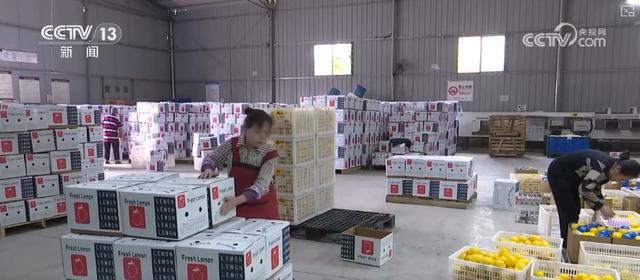 南宫NG28冷链燃动经济“热”力 “中心厨房+食材冷链配送”新业态、新形式加快发(图5)